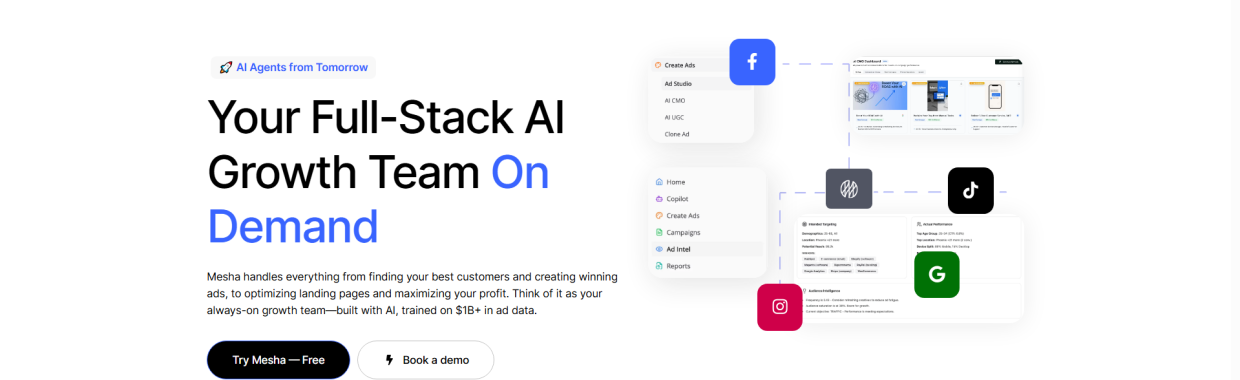 Mesha AI